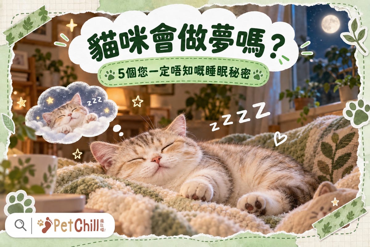 Do Cats Dream? 5 Sleep Secrets and the Truth About REM Sleep