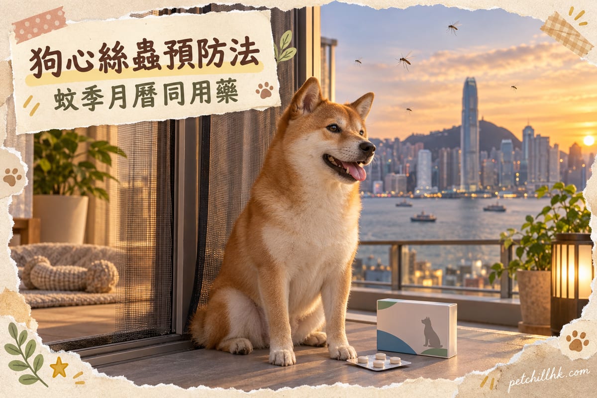 A Hong Kong estate balcony at dusk, a Shiba Inu sitting beside a mosquito screen, with Victoria Harbour views and a few flying mosquitoes visible outside, and a heartworm prevention medication box placed nearby