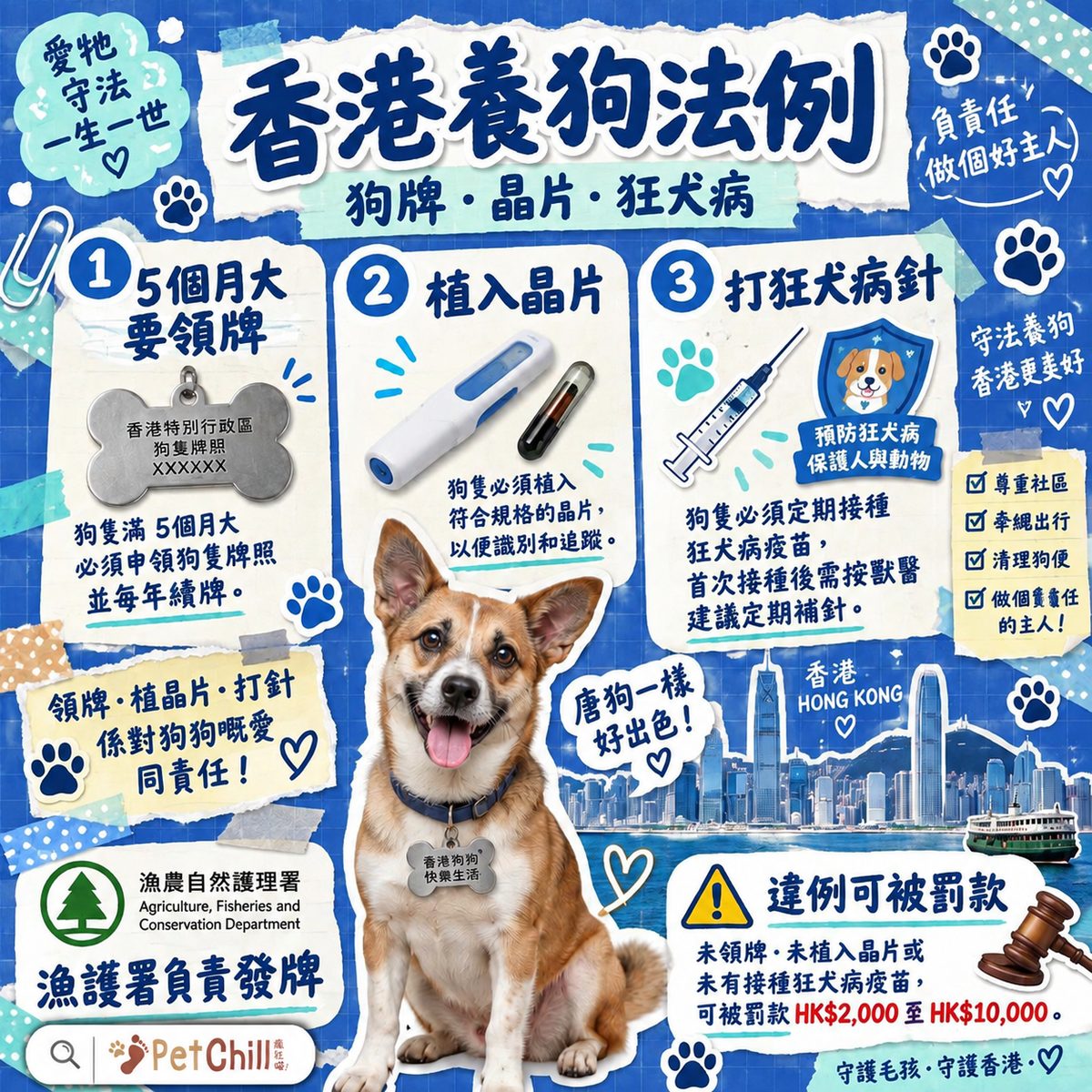 狗狗香港法例|狗牌・晶片・狂犬病注射・漁護署領牌全攻略