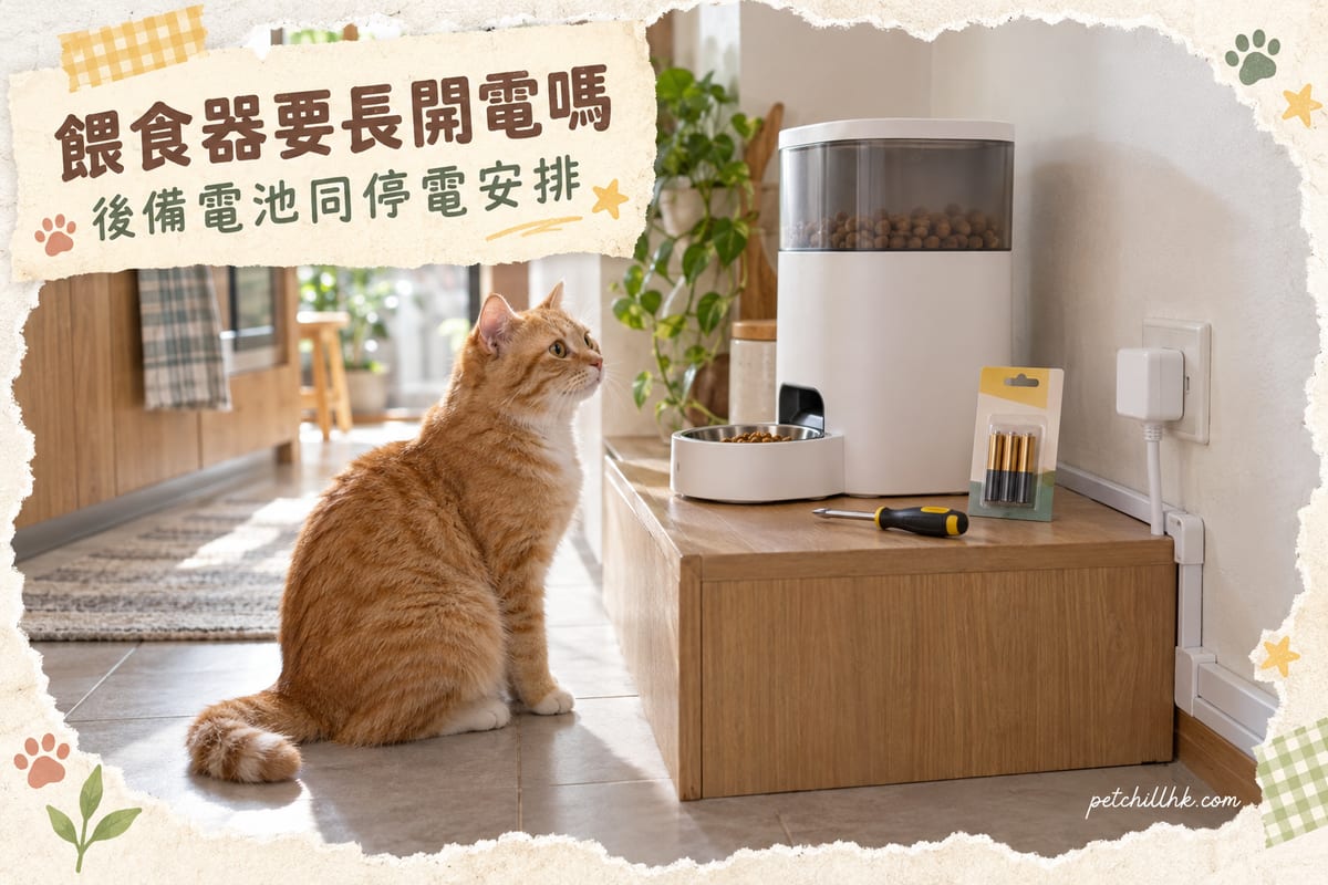Does Your PETKIT Feeder Need to Stay Plugged In? Power Management Tips — PetChill