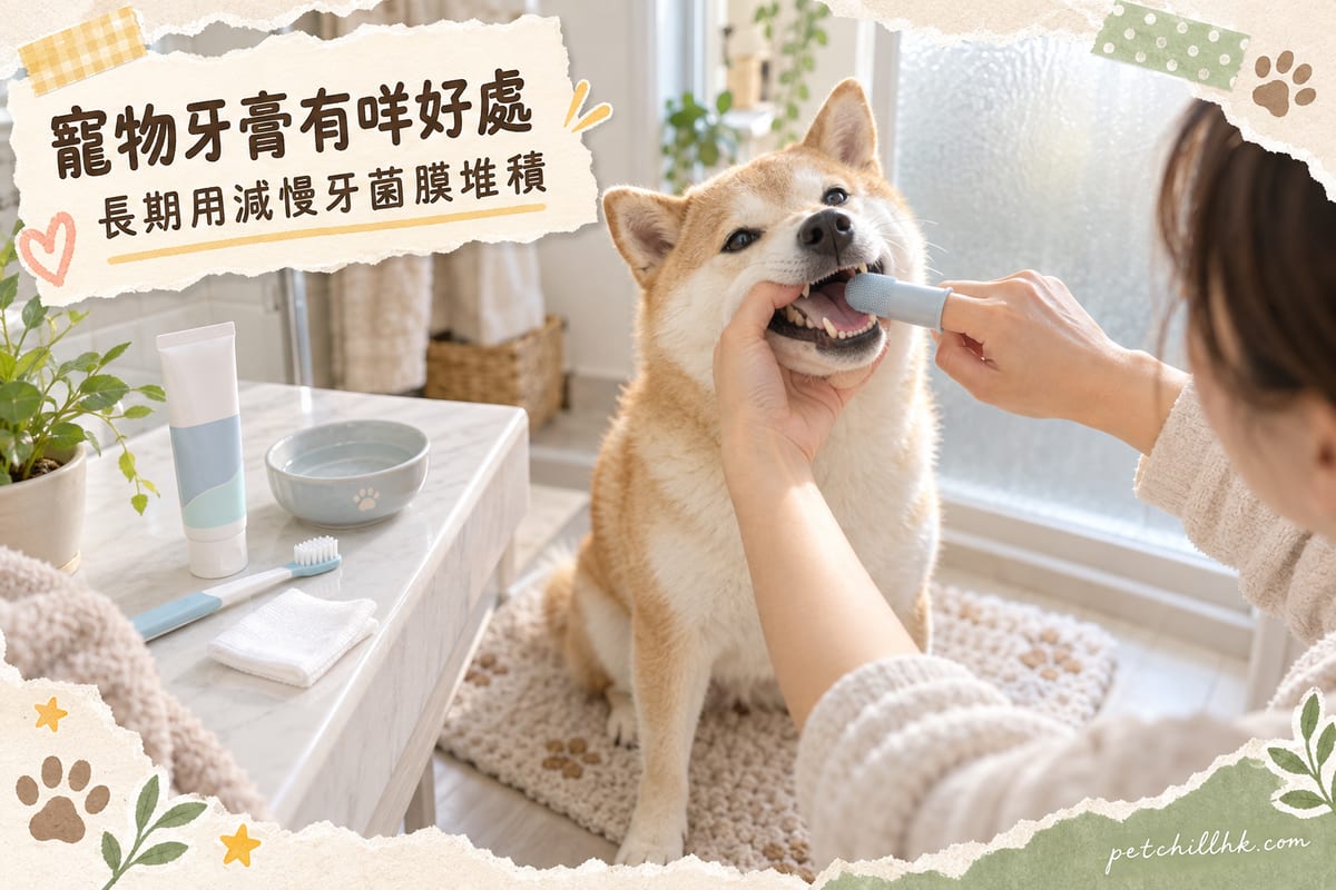 What Are the Long-Term Benefits of Petsmile Toothpaste? An Oral Care Analysis — PetChill