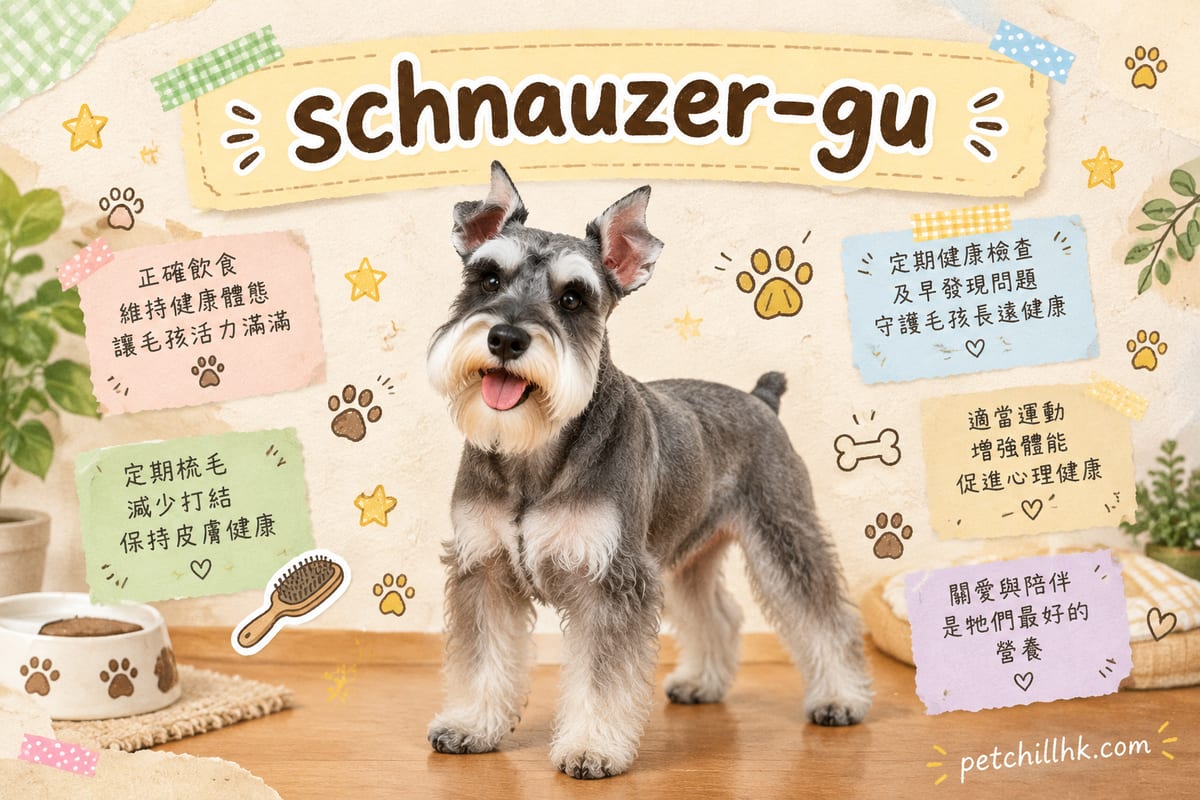 史納莎全攻略|性格、壽命、香港價錢與飼養完整指南