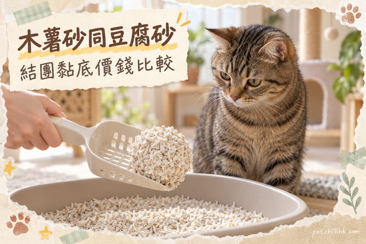 Tapioca Cat Litter Guide 2026 | Hong Kong Tapioca vs Tofu Litter: Clumping, Sticking, and Price Tested — PetChill