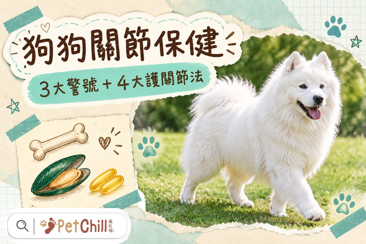 Dog Joint Pain: 3 Major Warning Signs of Osteoarthritis + 4 Ways to Protect Joints