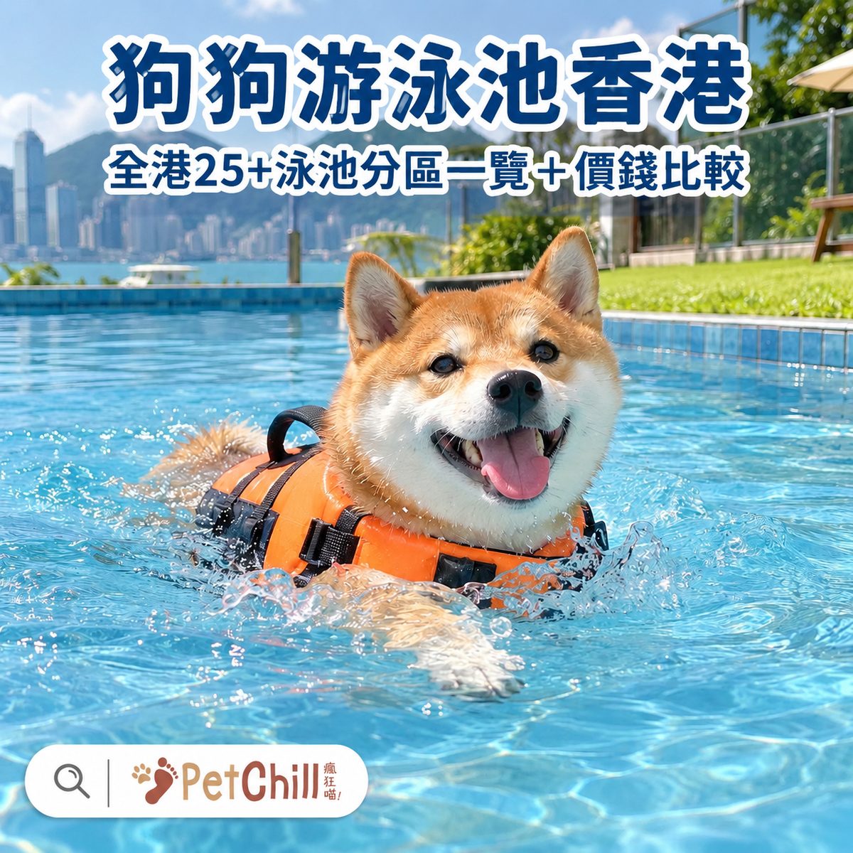 柴犬著橙色救生衣喺泳池游水——狗狗游泳池香港全攻略