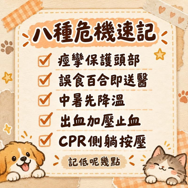 貓咪緊急急救全攻略8大危機處理心肺復蘇手法關鍵時刻救貓命 知識圖卡2