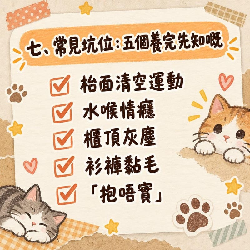 傍晚燈下主人同阿比西尼亞貓玩逗貓棒，貓騰空躍起撲向羽毛