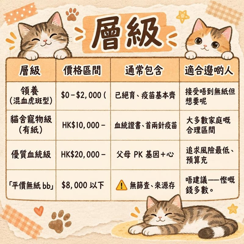 abyssinian-price-adopt-hk 知識圖卡1