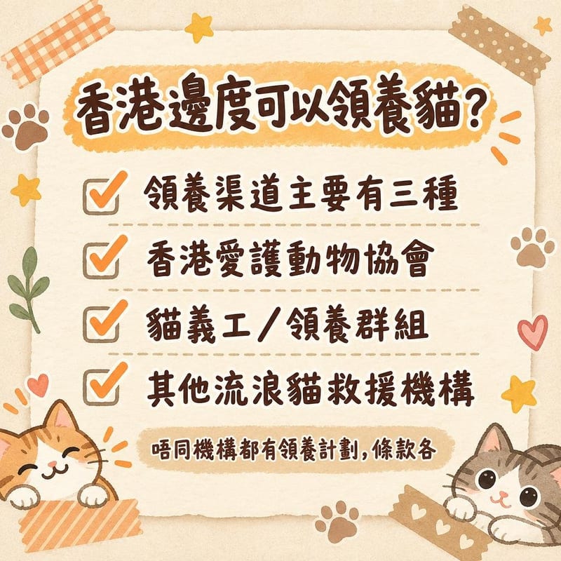 adopt-cat-hk-guide 重點整理圖卡 3