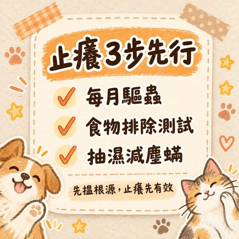 allergy-itch-pet 知識圖卡2