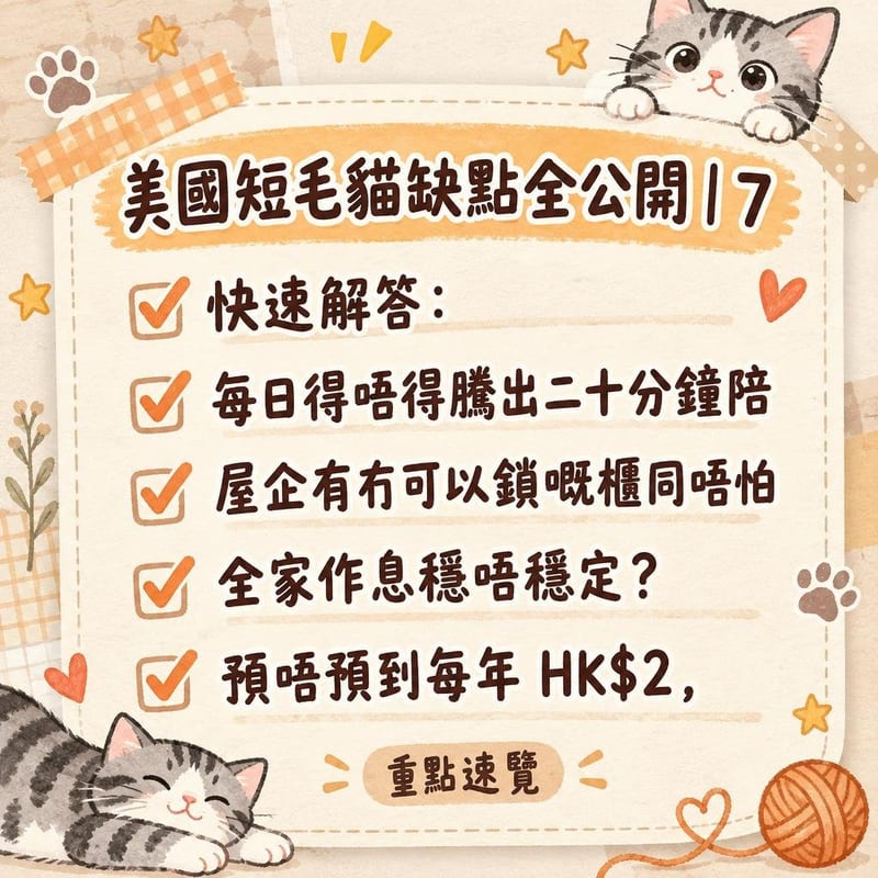 主人返屋企開門,銀虎斑美短企喺門邊迎接