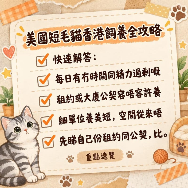 回南天期間主人用除濕機同針梳照顧美短皮毛