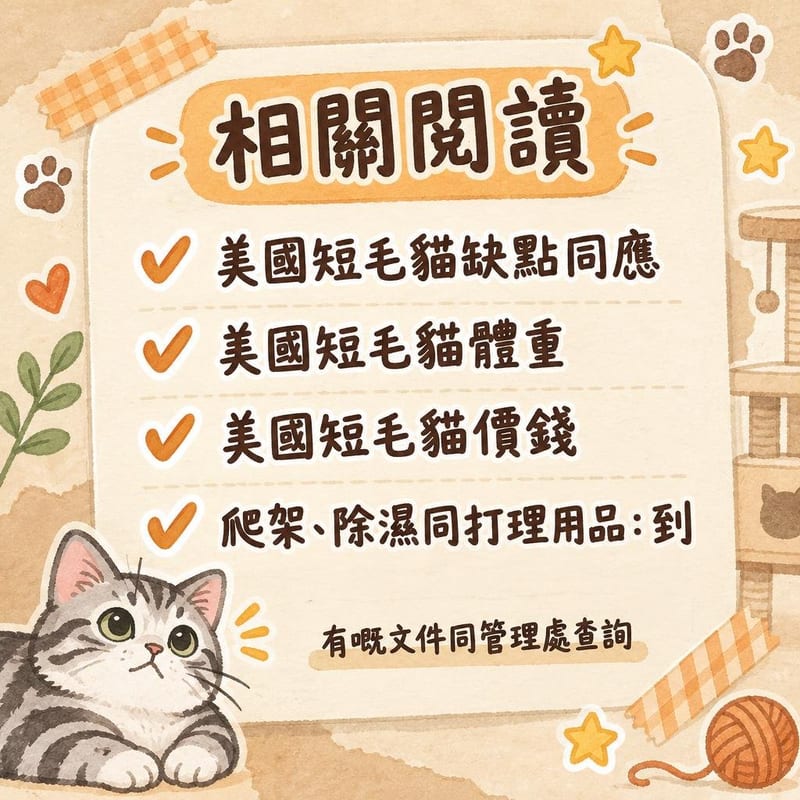 獸醫為美短做疫苗注射,主人喺診療檯旁安撫