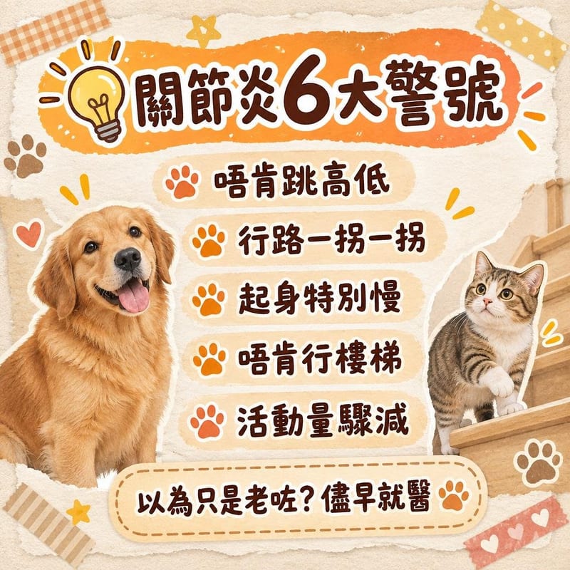 arthritis-pet-care 知識圖卡1
