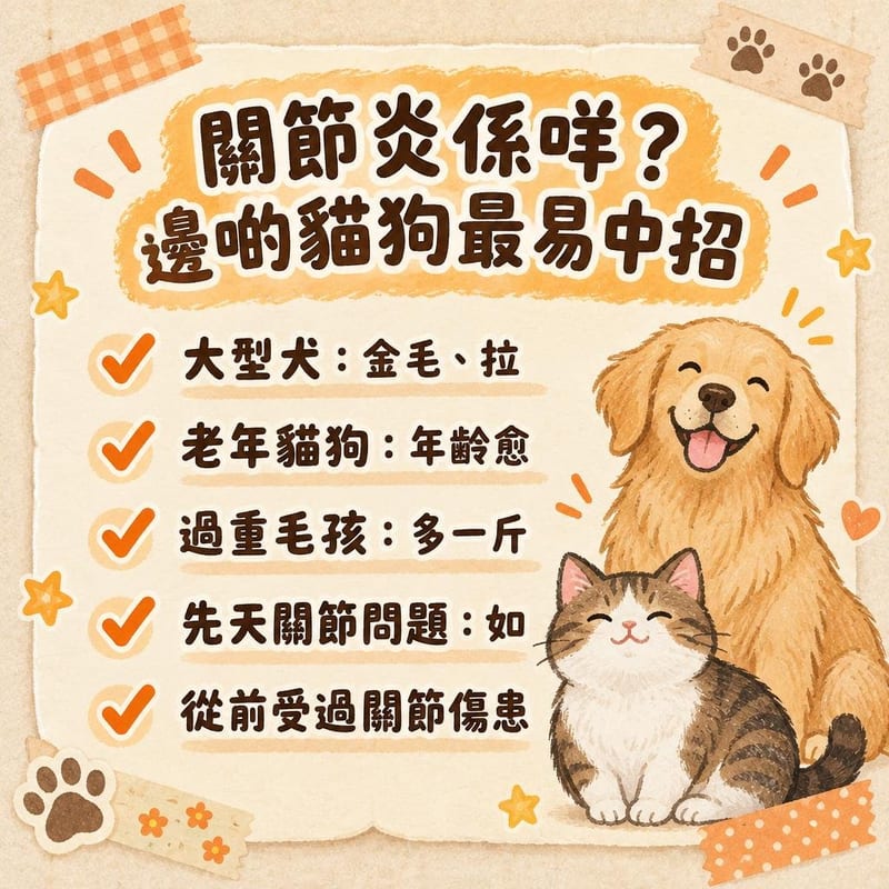 arthritis-pet-care 重點整理圖卡 3