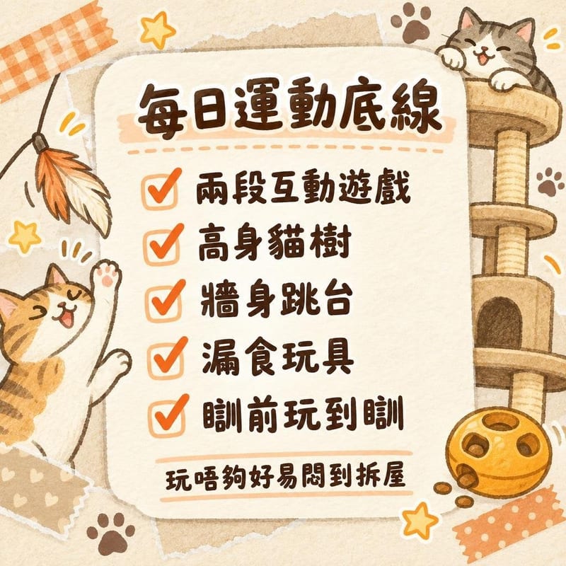 bengal-cat-guide-hk 知識圖卡1
