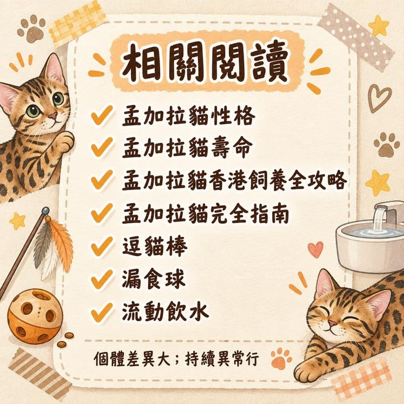 清晨時分孟加拉貓企喺床頭望住仲瞓緊嘅主人,爪輕力碰床頭燈掣,狀甚理直氣壯