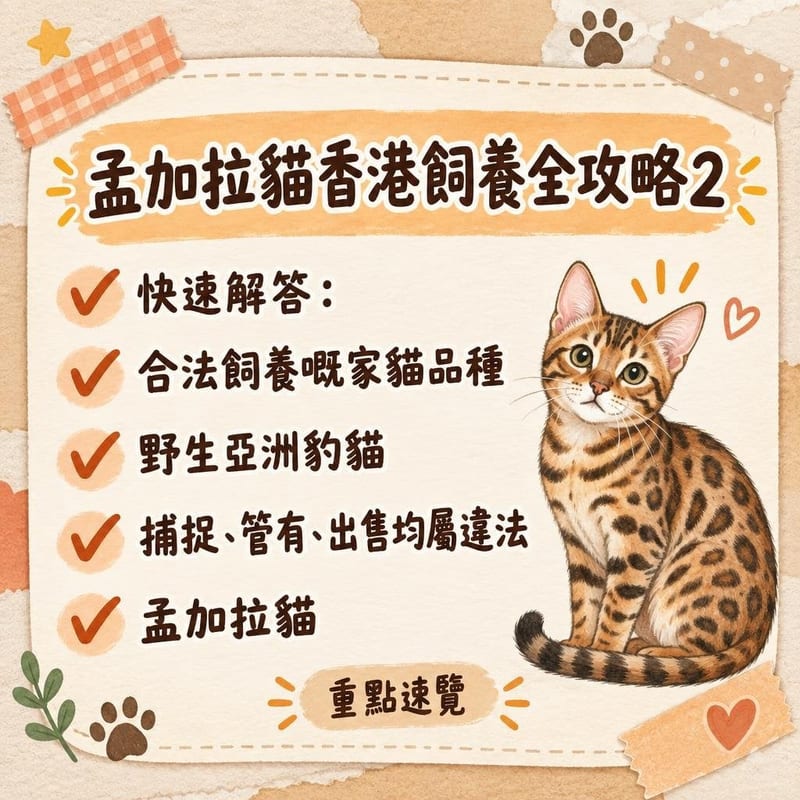 港式大廈窗邊,孟加拉貓望住安裝緊防貓紗窗嘅師傅,窗外係密集樓群