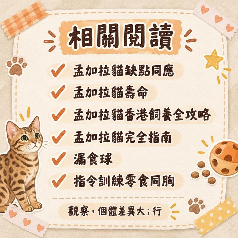 訓練有素嘅孟加拉貓喺公園草地用胸背帶行牽繩,主人鬆手示範「等」指令,貓坐姿等待