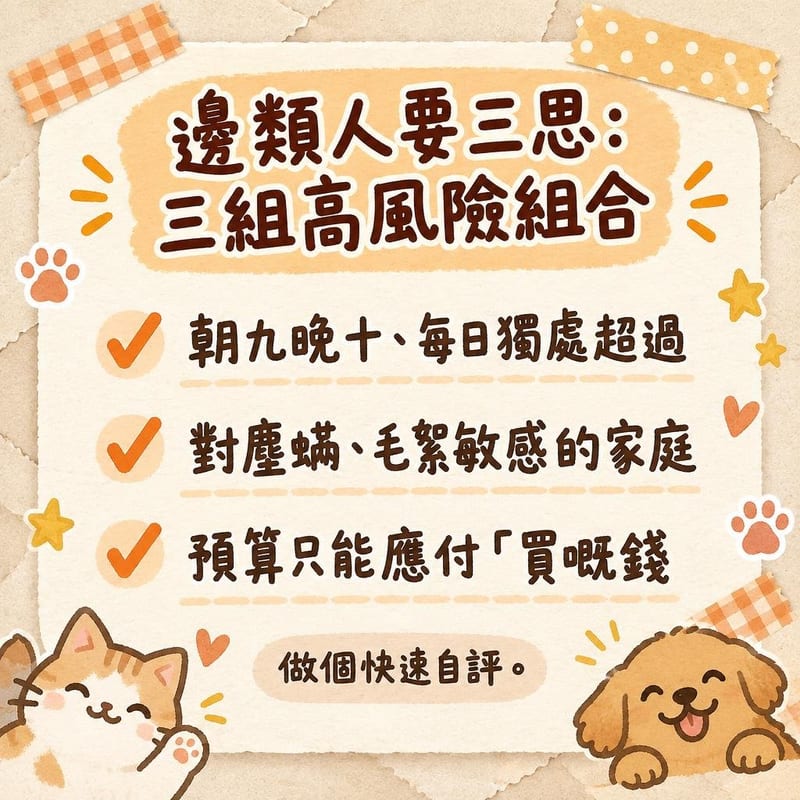 美容完畢的白色比熊犬坐喺梳化梯級旁,主人正用軟毛刷整理牠的眼周毛髮,屋內開住抽濕機