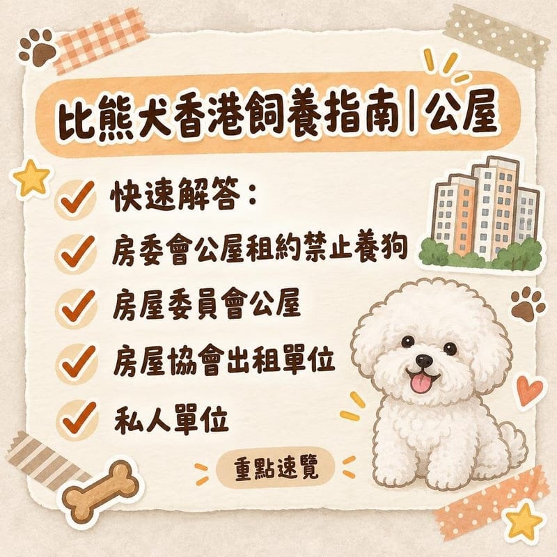 一隻白色比熊犬坐在香港細單位客廳的地毯上,身旁有圍欄與狗糧碗,窗外可見密集的住宅樓群