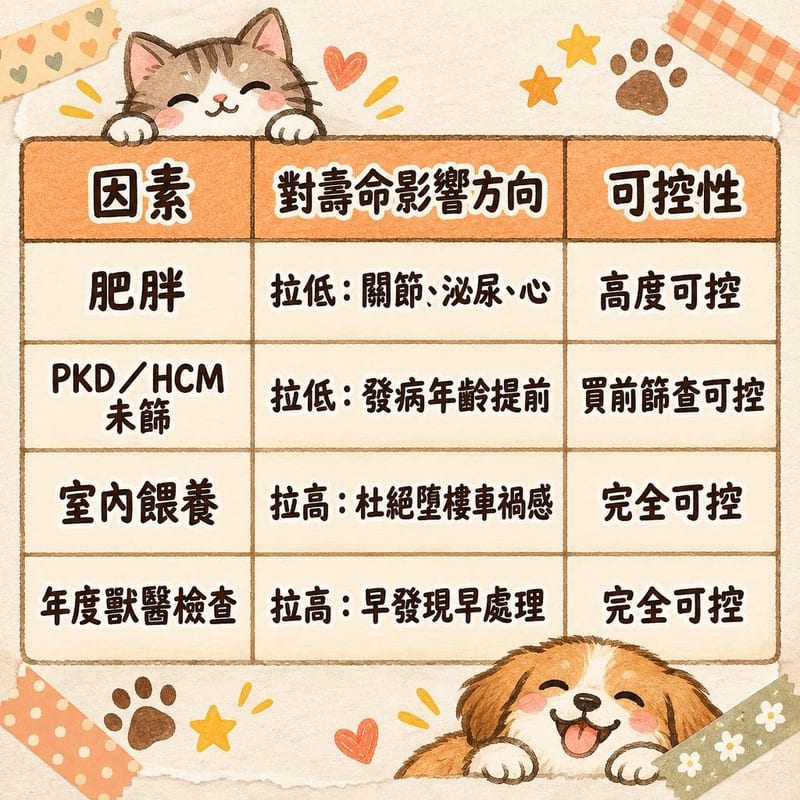 british-shorthair-lifespan-hk 知識圖卡1