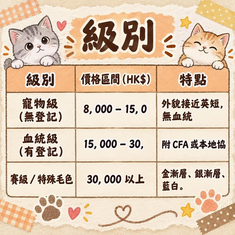 british-shorthair-price-adopt-hk 知識圖卡1