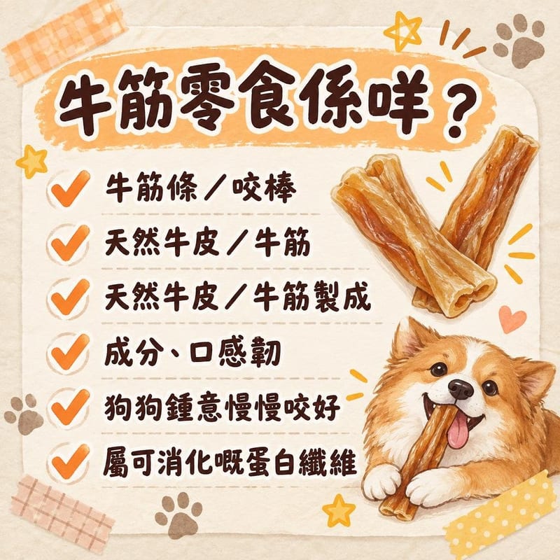 bully-sticks 重點整理圖卡 3