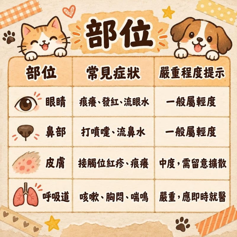 部位|PetChill 圖卡整理