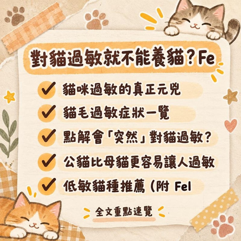 對貓過敏就不能養貓?Fe|PetChill 圖卡整理
