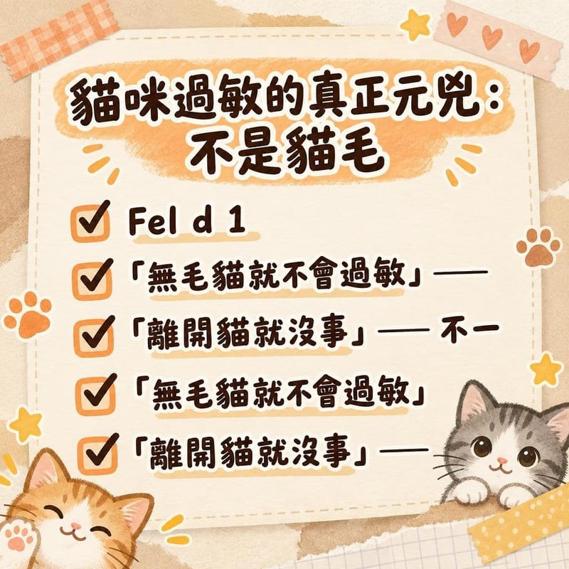 cat-allergy-guide 重點整理圖卡 3