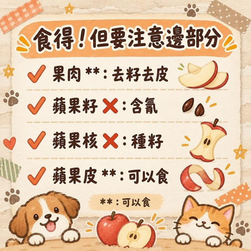 cat-apple-seeds 重點整理圖卡 3