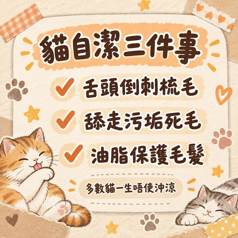 cat-bath-myth 知識圖卡1