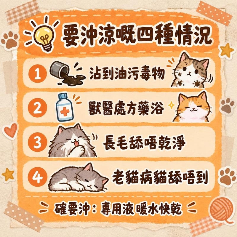 cat-bath-myth 知識圖卡2
