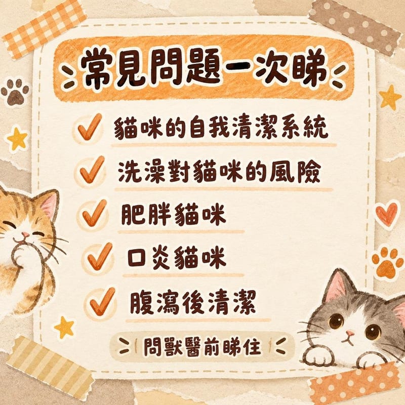 常見問題一次睇|PetChill 圖卡整理