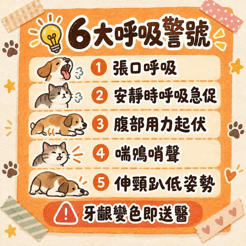 cat-breathing-guide 知識圖卡2