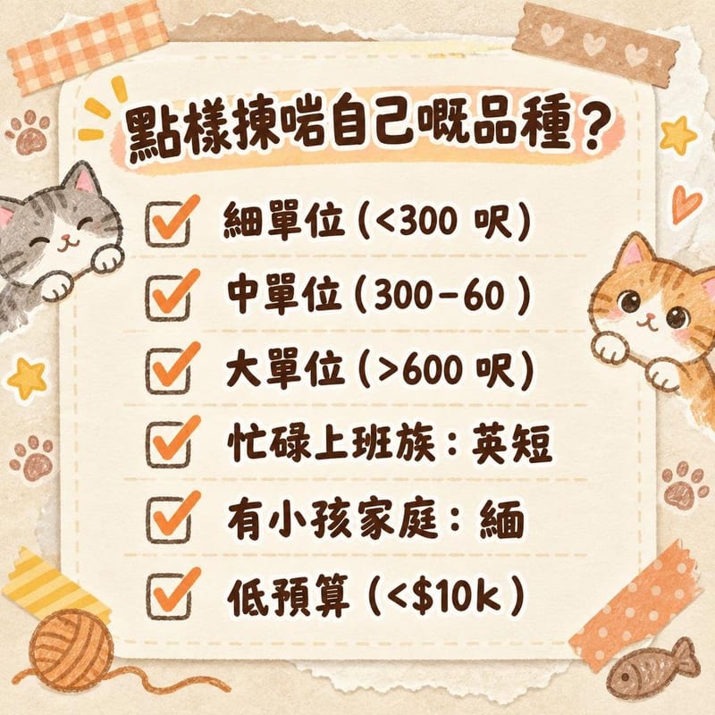 cat-breeds-guide-hk 重點整理圖卡 3