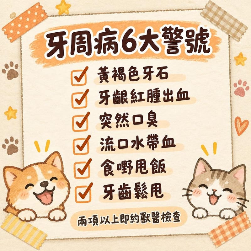 cat-dental-care-guide 知識圖卡1