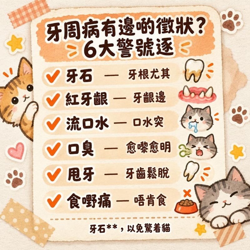 cat-dental-care-guide 重點整理圖卡 3