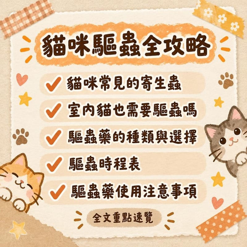 貓咪驅蟲全攻略｜PetChill 圖卡整理
