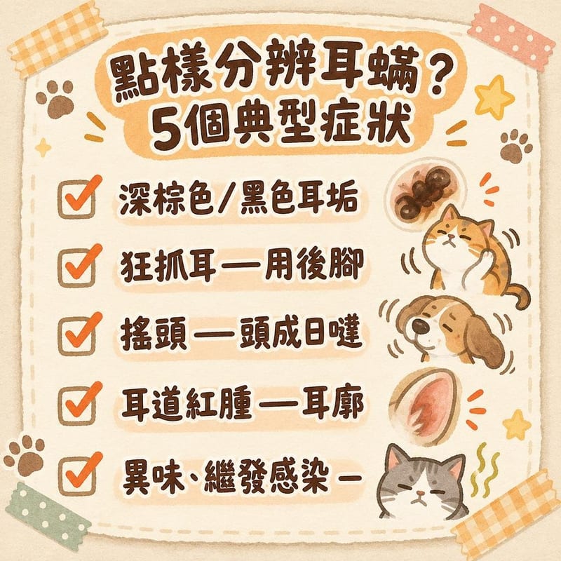 cat-ear-mite-guide 重點整理圖卡 3