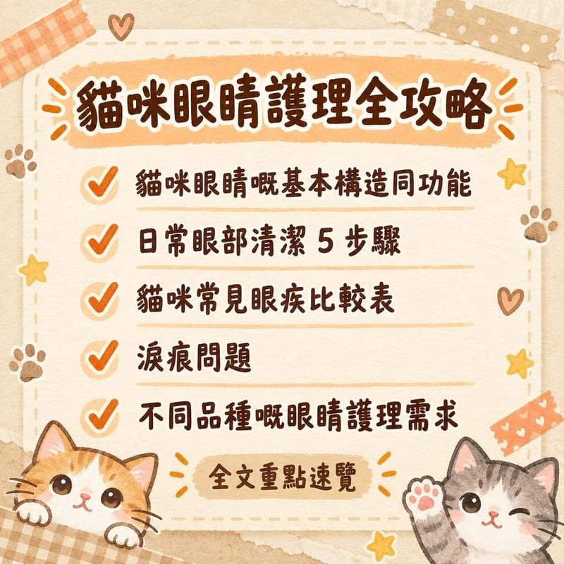 貓咪眼睛護理全攻略|PetChill 圖卡整理