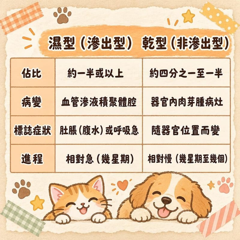 知識圖卡|PetChill 圖卡整理