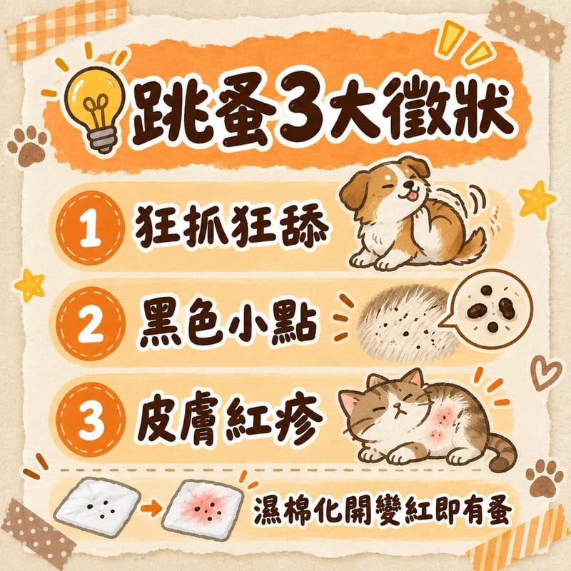 cat-flea-guide 知識圖卡1