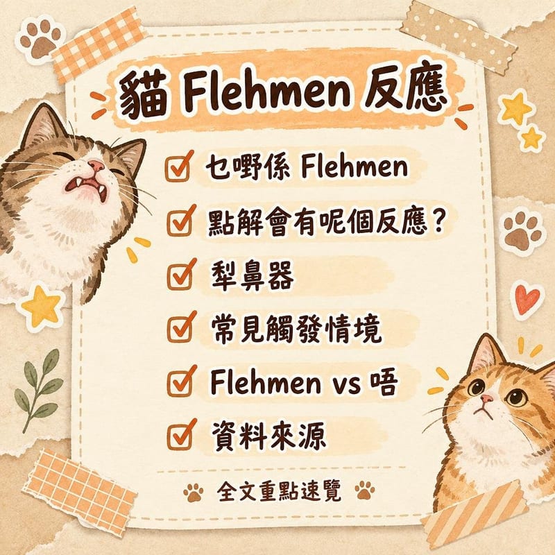 貓 Flehmen 反應｜PetChill 圖卡整理