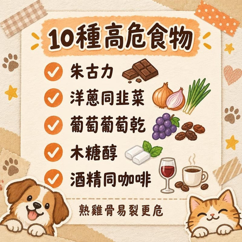 cat-food-toxicity-guide 知識圖卡1