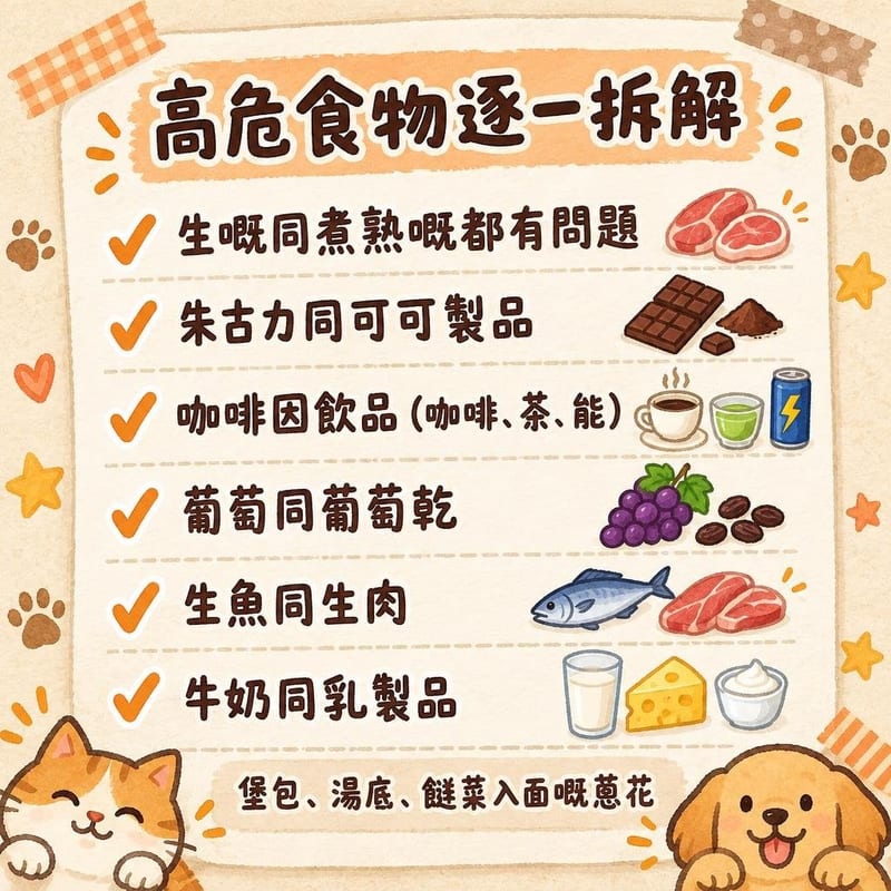 cat-food-toxicity-guide 重點整理圖卡 3