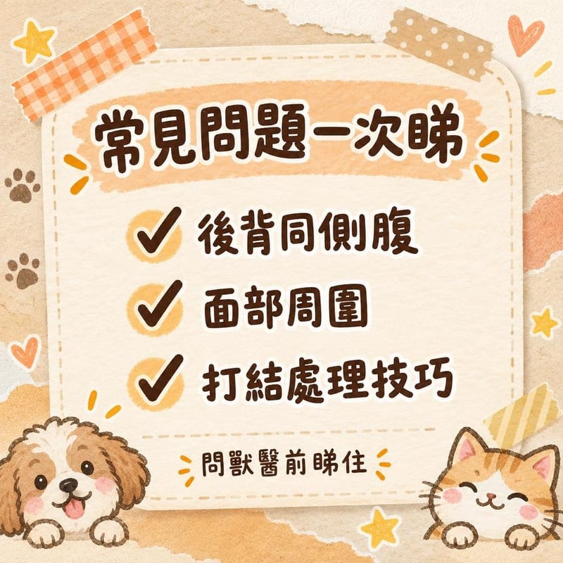 常見問題一次睇|PetChill 圖卡整理