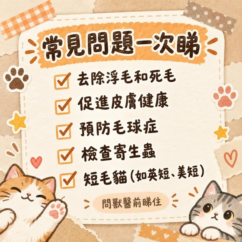常見問題一次睇|PetChill 圖卡整理