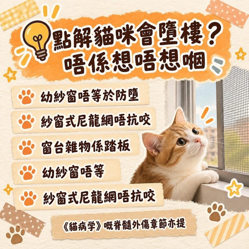 cat-highrise-fall-prevention 重點整理圖卡 3